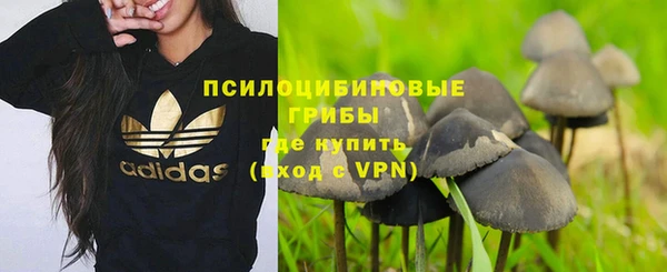 хмурый Гусиноозёрск