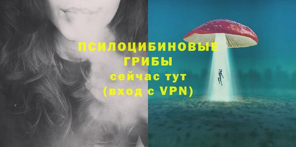 трава Гусев