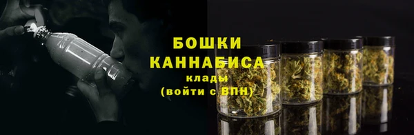 хмурый Гусиноозёрск