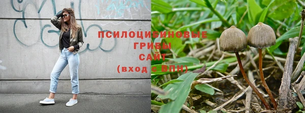 герыч Гусь-Хрустальный