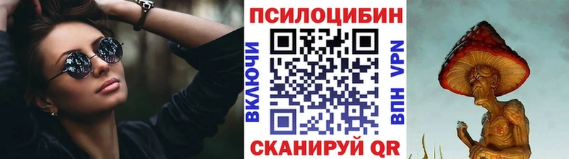 Псилоцибиновые грибы GOLDEN TEACHER купить наркотики цена Верея